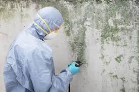 Best Airborne Mold Testing  in Lawtey, FL